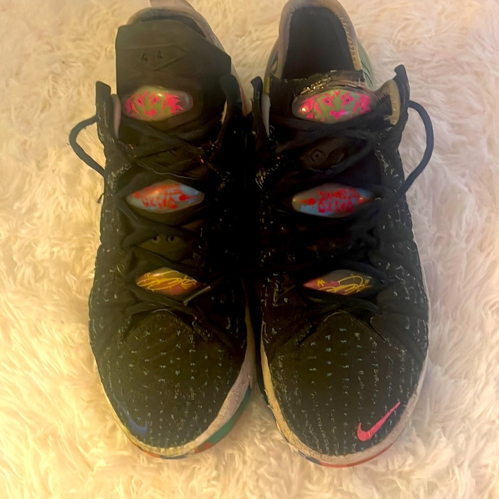 Mens SZ 7.5 worn once…Lebrons, dog chewed top of one tongue on left shoe